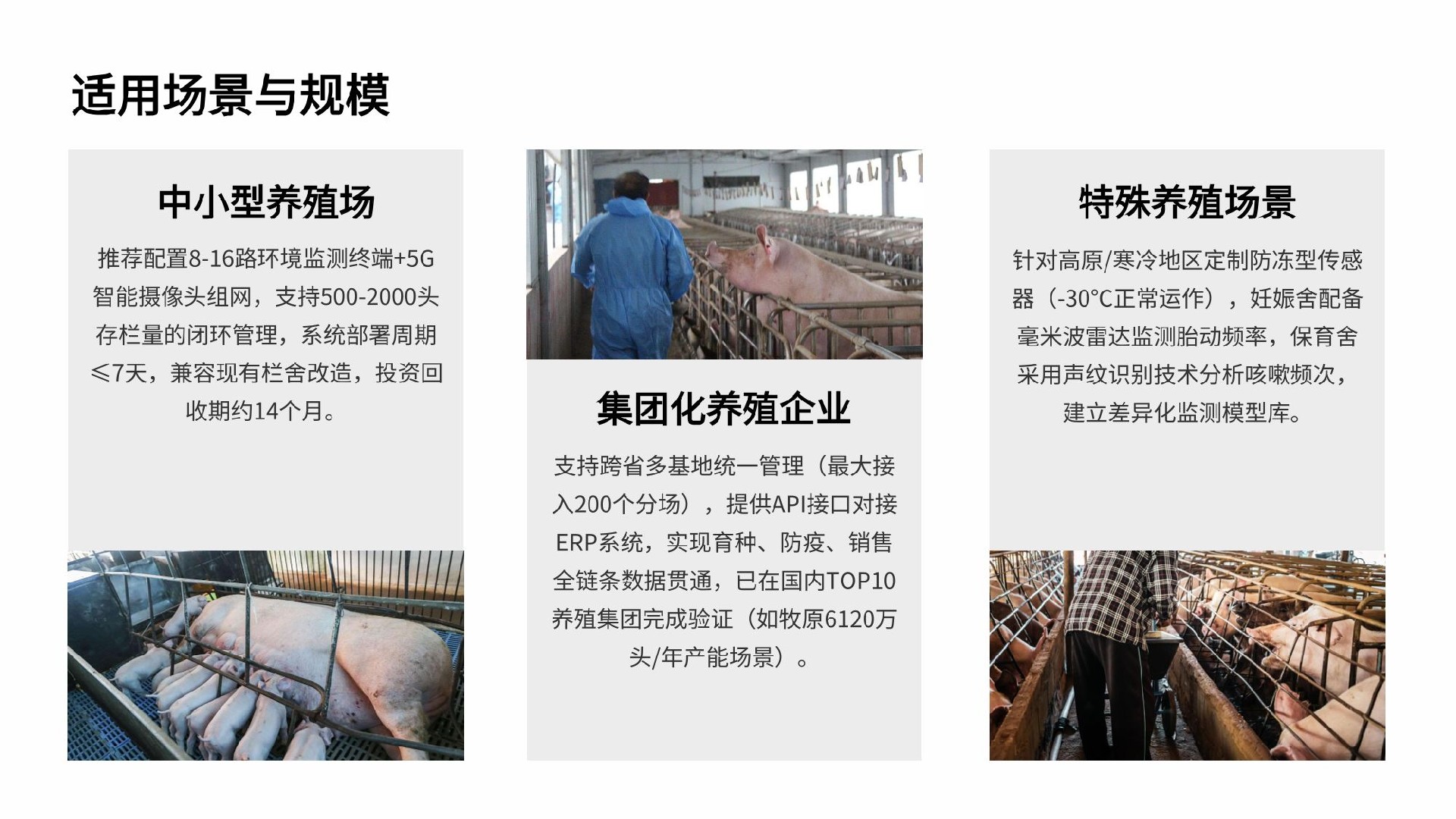 智能猪场|鸡场|牛场疾病监测预警系统-AI养殖疾病健康管理解决方案